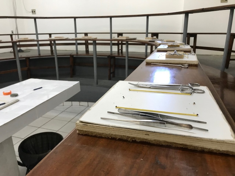 12012021 laboratório cirurgia huol 2.jpeg