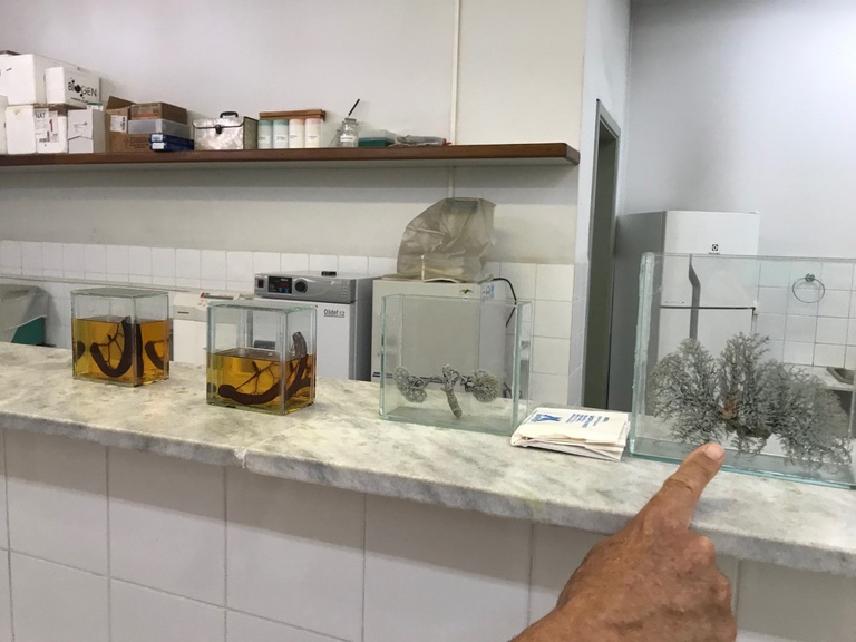 12012021 laboratório cirurgia huol 4.jpeg