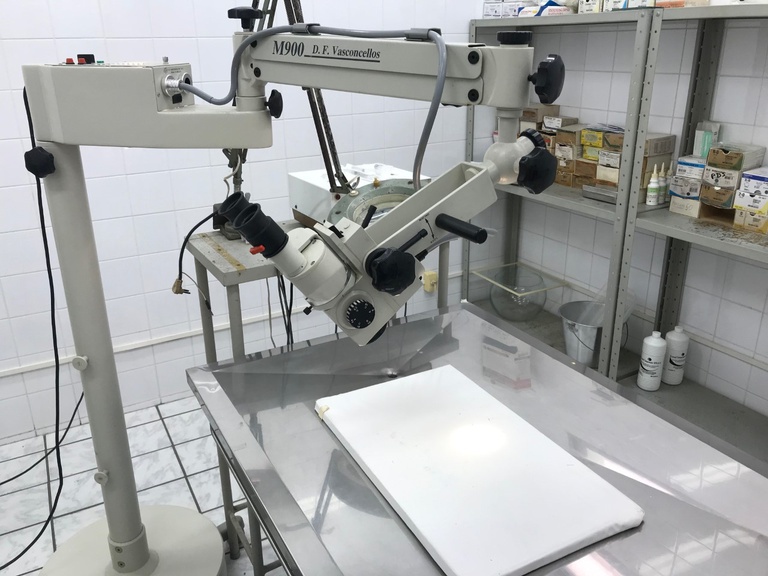 12012021 laboratório cirurgia huol 6.jpeg