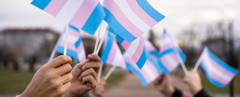 09062025 ebserh hupes-ufba habilitação centro transexualizador