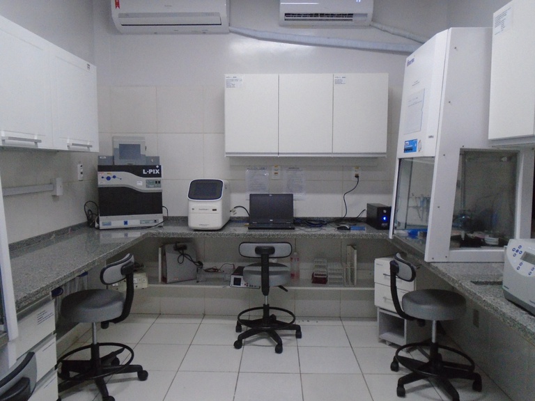 16022023 pesquisa fungo (4).jpeg