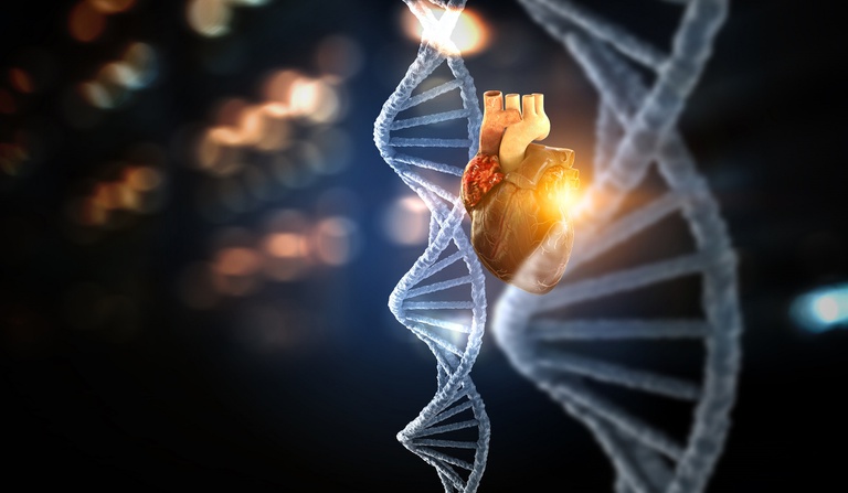 01022023 pesquisa coração humap.jpg