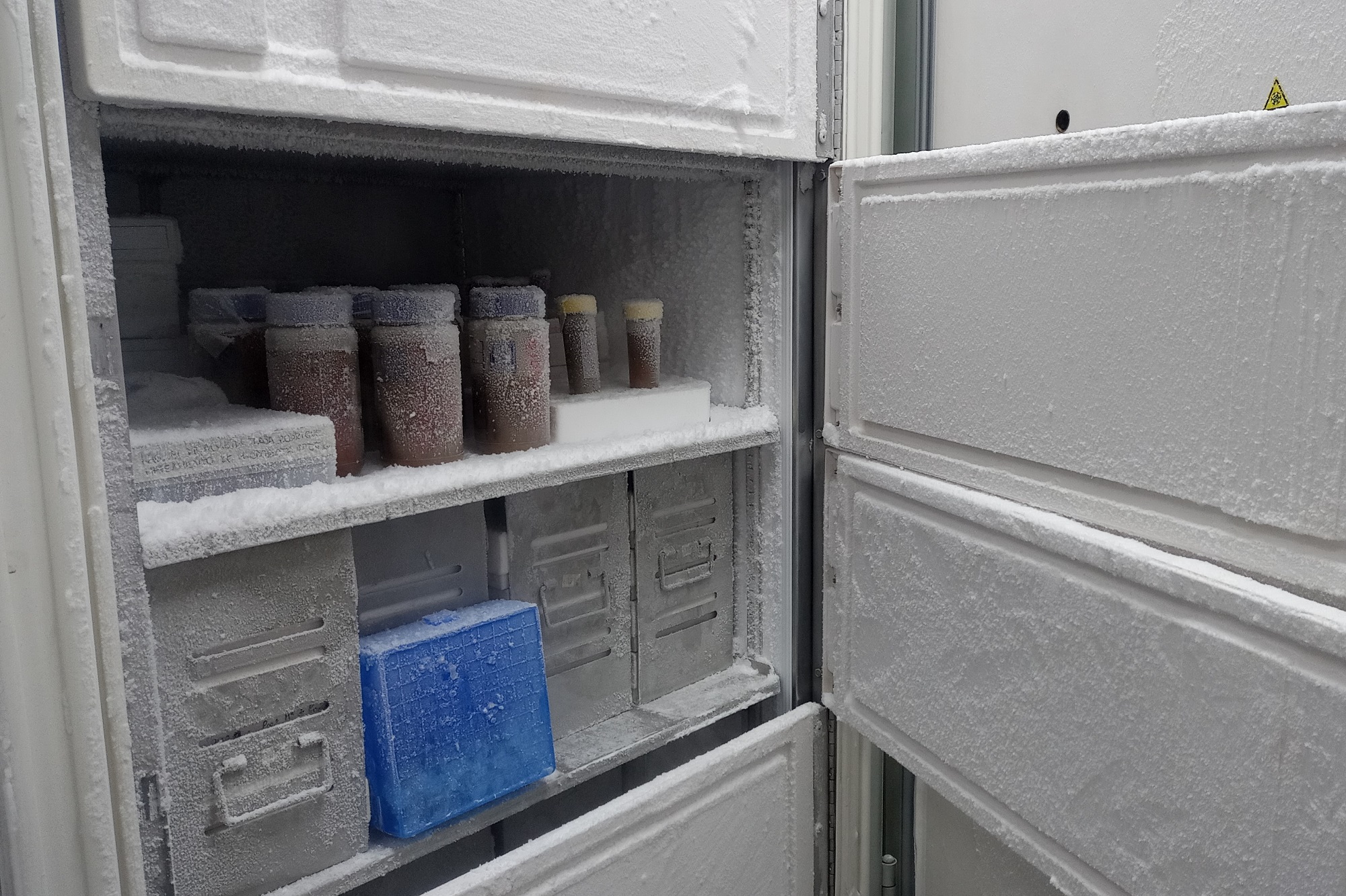 06072023 ciência série 4 - 2