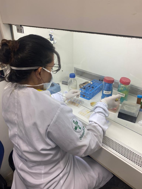 Projeto multicêntrico estudará no Nordeste fungos que causam infecções em hospitais 3.jpeg