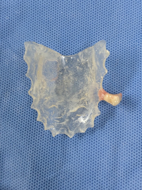 01072025 ebserh julho verde 4.jpeg