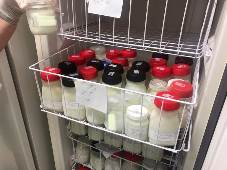 12082020 amamentação huap-uff 2.jpeg