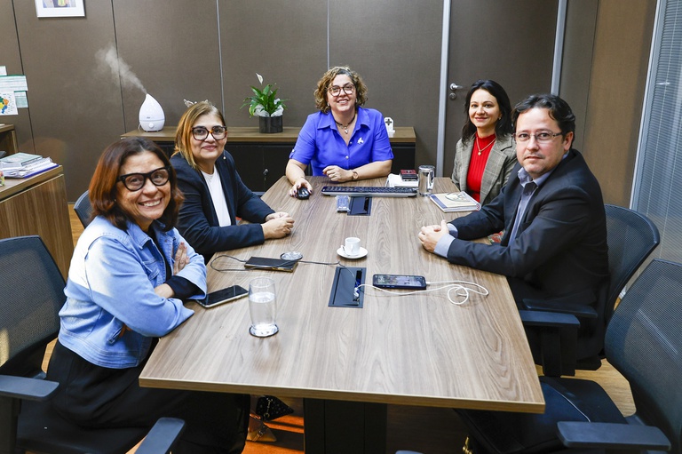 06-06-2024 Reunião DEPI-8 - Copia