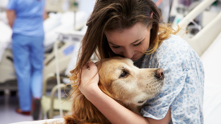 14032025 ebserh dia mundial animais 1.jpg