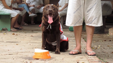 14032025 ebserh dia mundial animais 11.jpeg