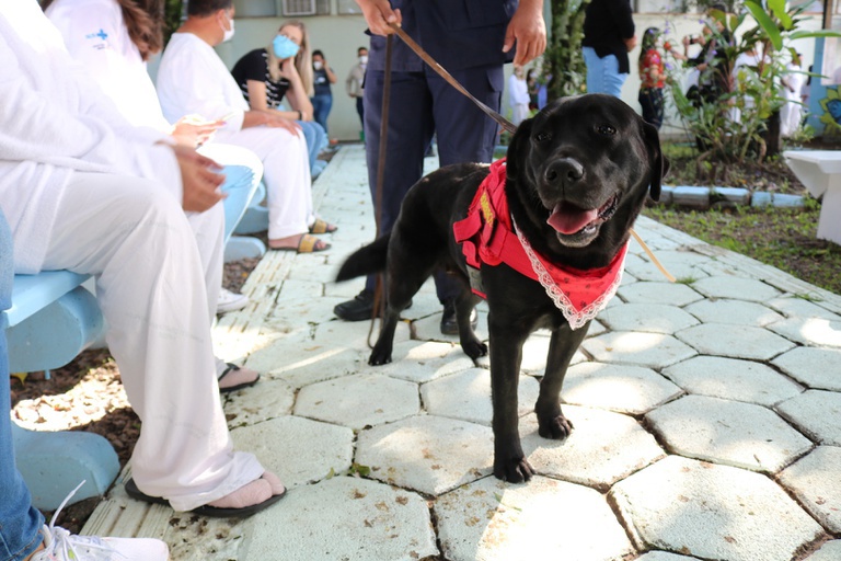 14032025 ebserh dia mundial animais 12.jpeg