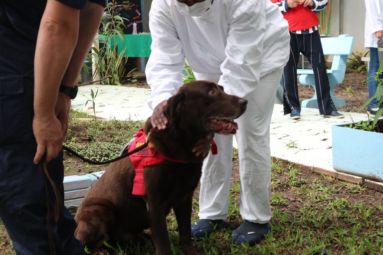 14032025 ebserh dia mundial animais 13.jpeg