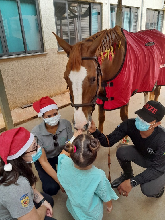 14032025 ebserh dia mundial animais 6.jpeg