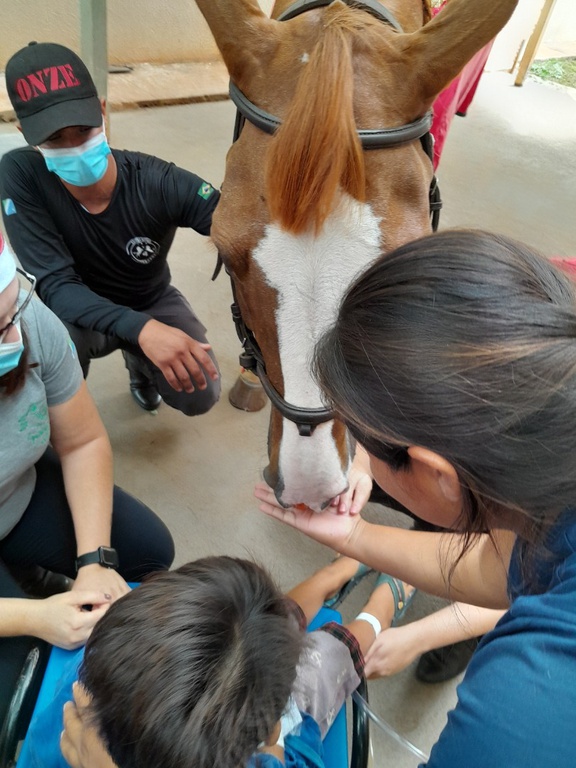 14032025 ebserh dia mundial animais 7.jpeg