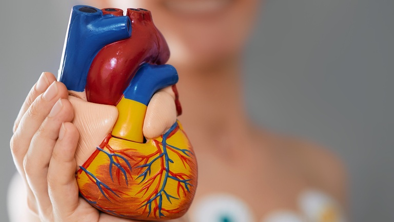 14052026 conscientização doenças cardiovasculares mulheres.jpg