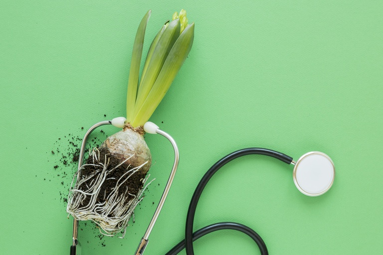 04062025 ebserh junho verde 2