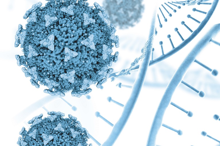 09062021 testes covid he-ufpel.jpg