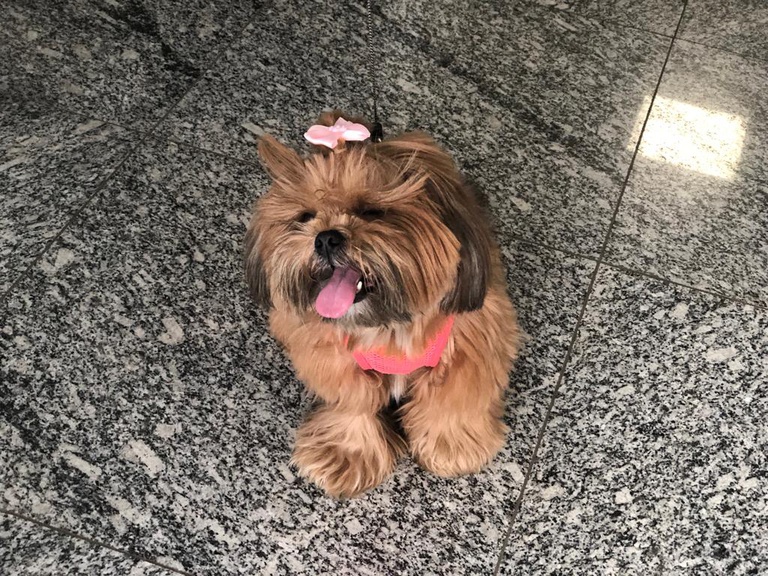 27012023 minha história hc-ufg 5.jpeg