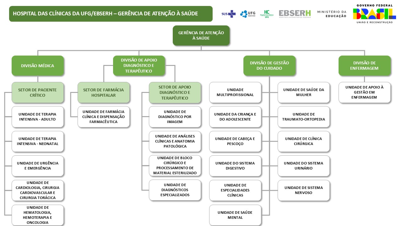 Estrutura Organizacional - Gerência de Atenção à Saúde