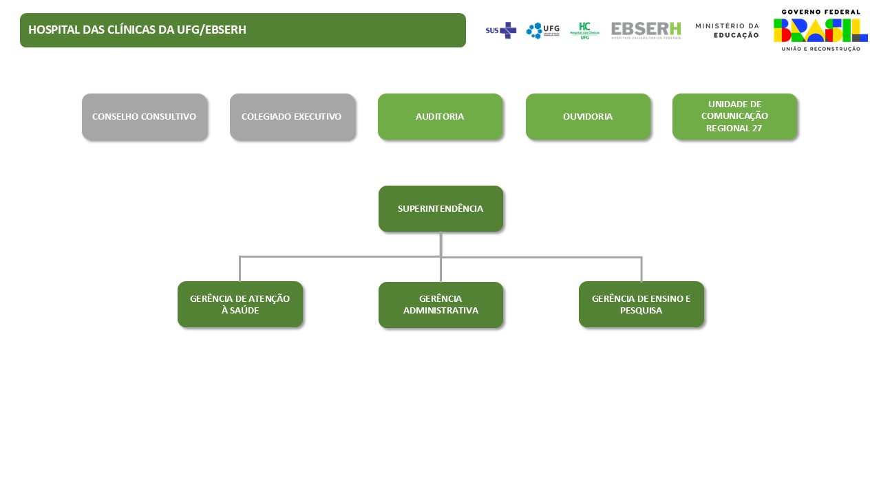 Estrutura organizacional - Governança