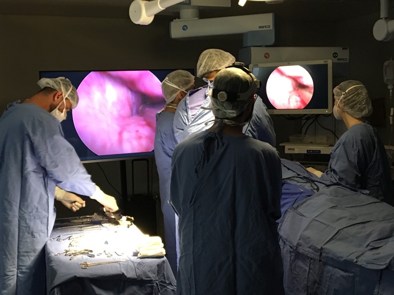 Cirurgia endoscópica endonasal 2.JPG