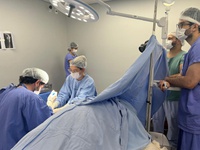 HC-UFG antecipa 2.979 atendimentos na primeira edição de 2026 do mutirão ‘Dia E’