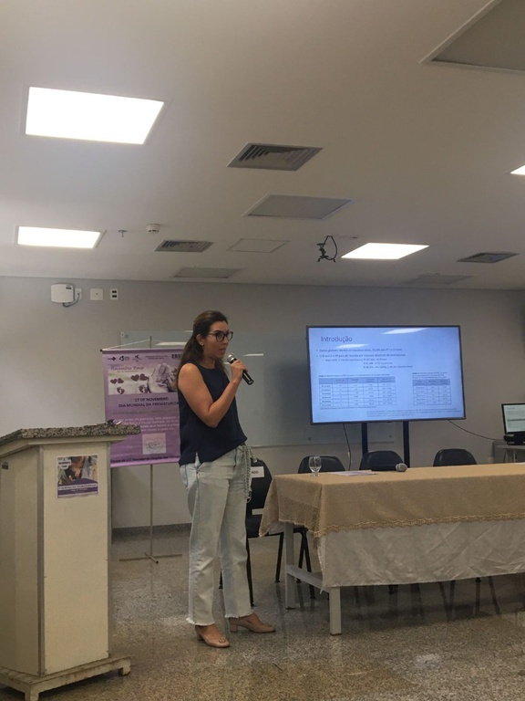 Palestra - Renata Lorenzetti de Castro.jpeg
