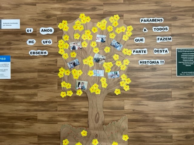 Foto - Ipê Amarelo - Aniversário do HC-UFG 61 anos.jpg