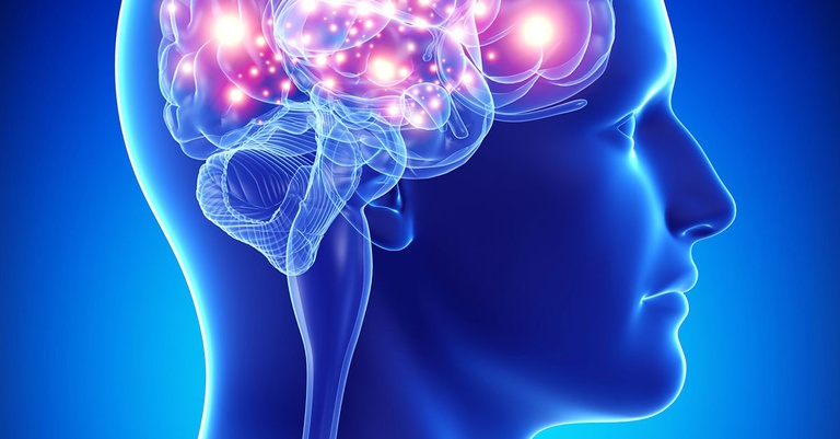 neurologia-clinica.jpg
