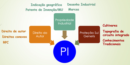 Propriedade Intelectual
