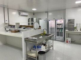 Laboratório molecular 2.JPG