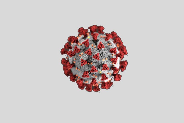 Covid-19 - site novo.jpg