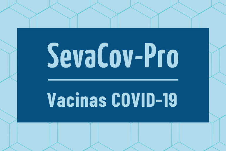 DESTAQUES - SITE NOVO (5).png