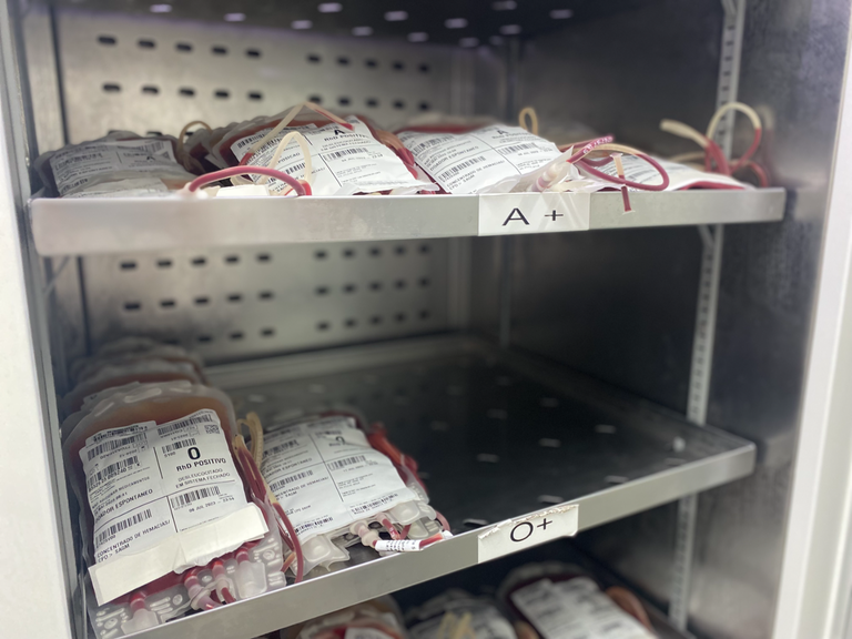 Bolsas de sangue.png