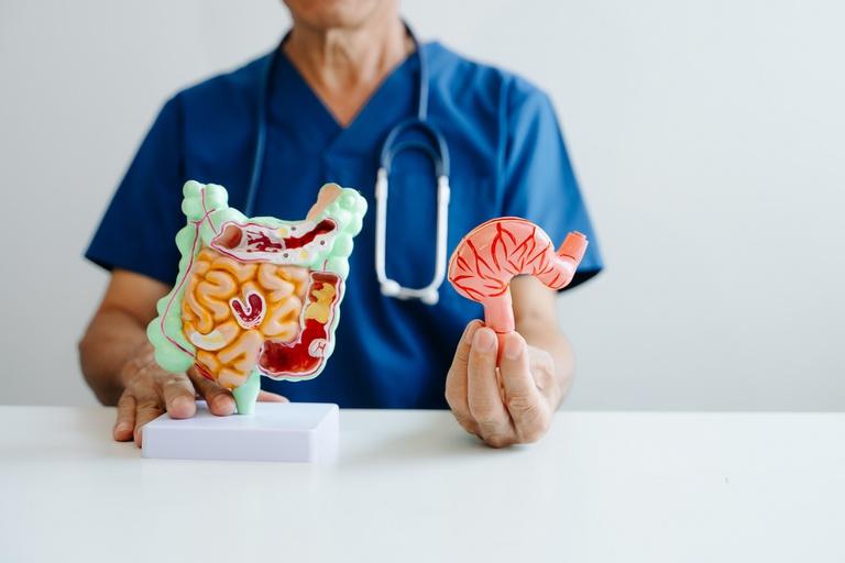 doctor-demonstrating-a-stomach-anatomy-model-for-d-2026-01-11-11-07-26-utc.jpg.jpeg