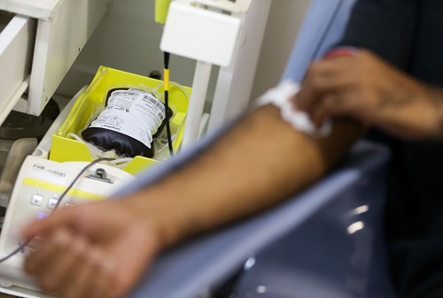 doac3a7c3a3odesanguedestaque