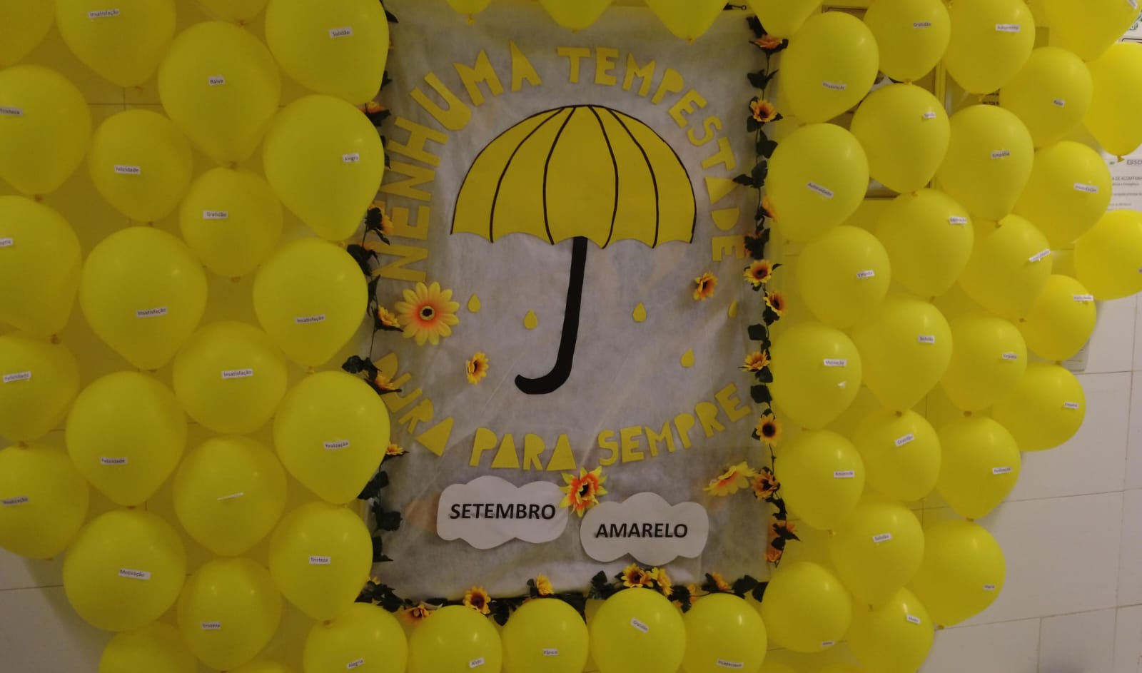 Image 2024-09-20 at 12.05.48 (1).jpeg