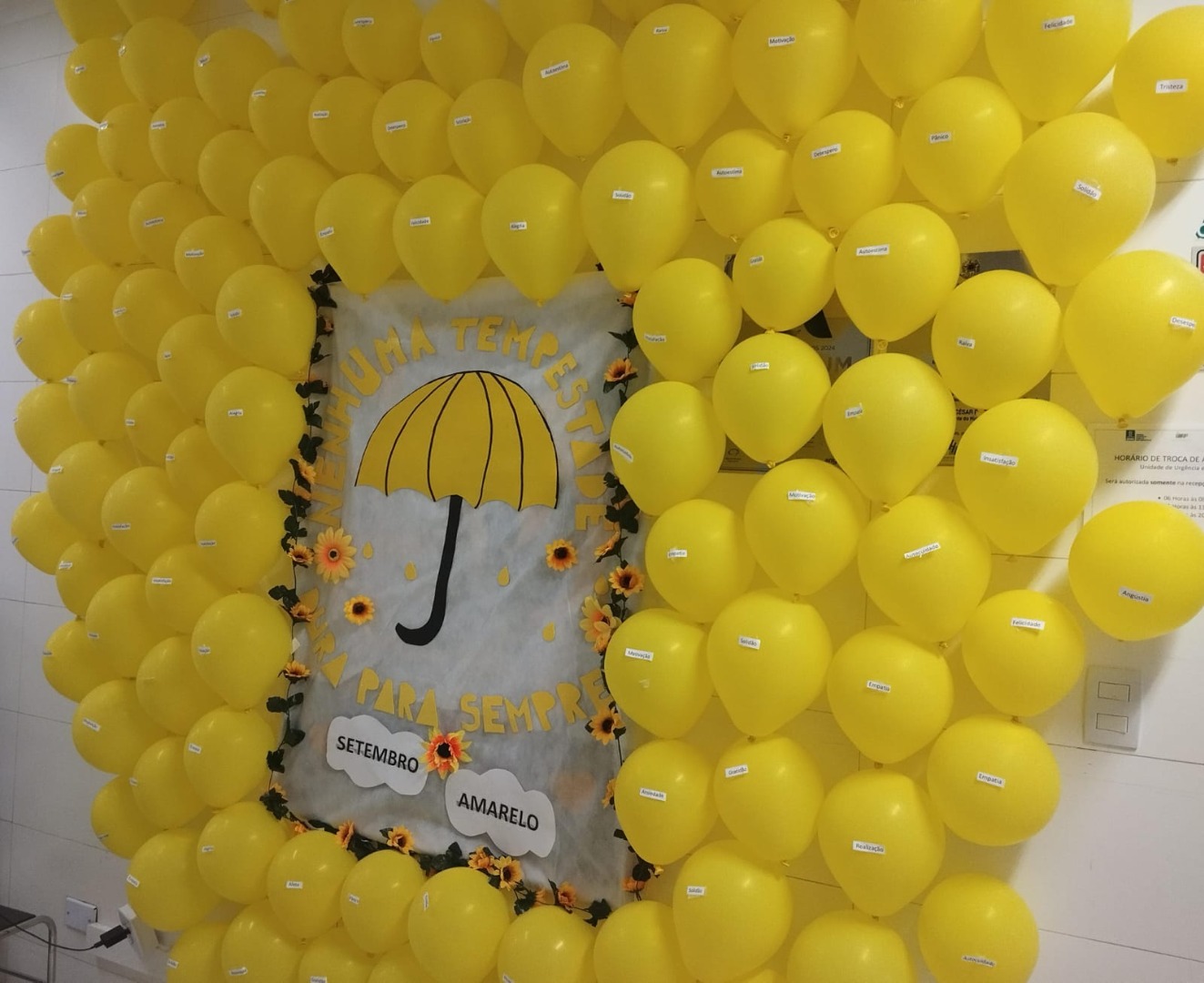 Image 2024-09-20 at 12.05.49.jpeg