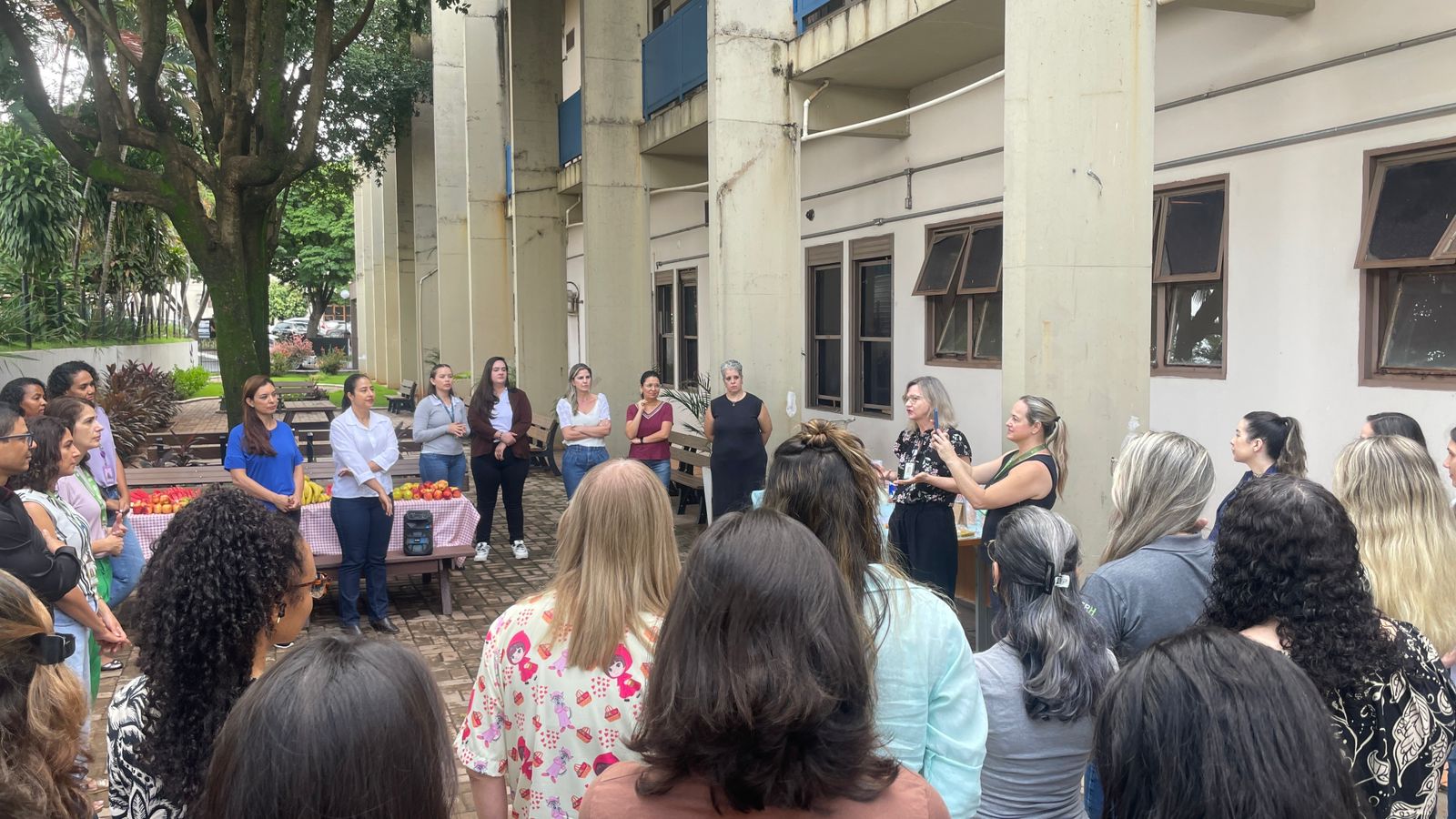 Alongamento e ritbox