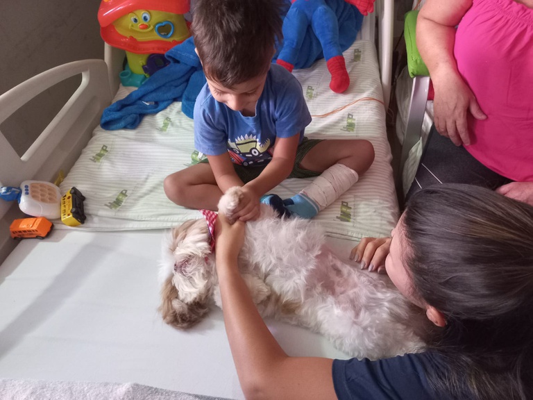 Cão terapeuta Zili retorna ao Humap-UFMS após quase 2 anos