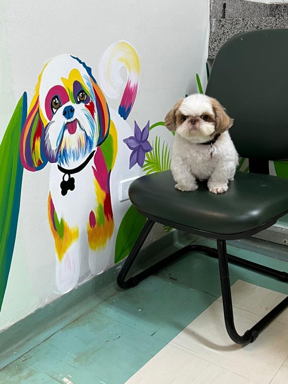 O encontro entre Zili e sua retrato pintado na parede da sala de hemodiálise infantil