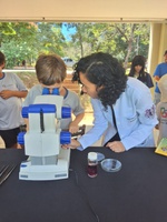 Humap realiza atividades para popularização da ciência durante o COP15 POP da UFMS