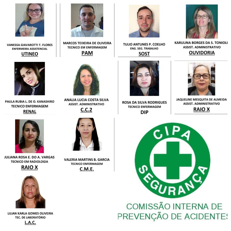 eleitoscipa2017