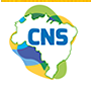 cns.png