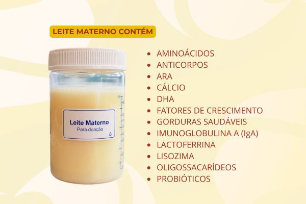 campanha
