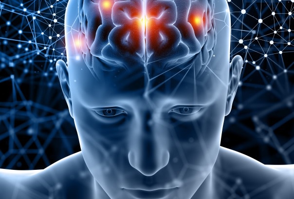 neuro1jpg