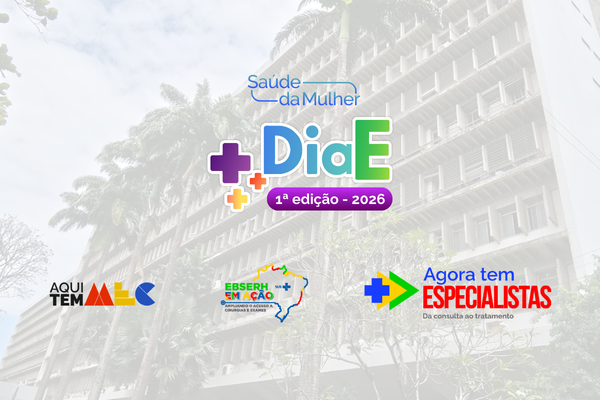 DIa E- site 2.png