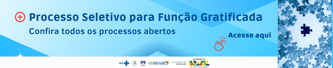 Processo seletivo funções gratificadas