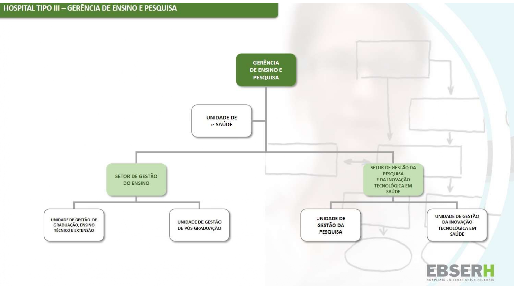 Organograma atualizado em 2021