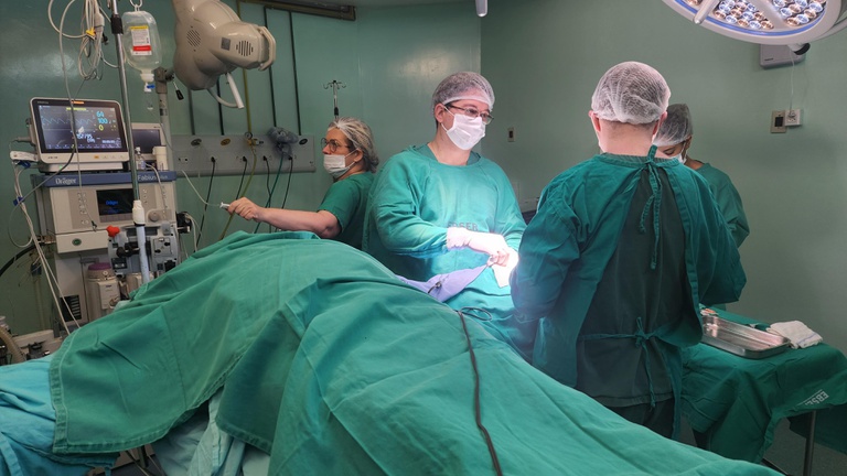 Dia E no HU-UFPI: 458 atendimentos especializados foram realizados nesse sábado (13)