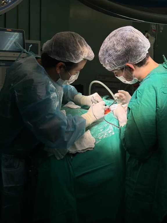 Foto - Técnica melhora sintomas motores e qualidade de vida de pessoas atendidas pelo SUS no Piauí (1).jpeg